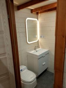 a bathroom with a toilet and a sink and a mirror at TinyHouse on the prairie in Mehaigne