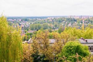uitzicht op een stad met bomen en gebouwen bij Alma Apartments Starachowice in Starachowice