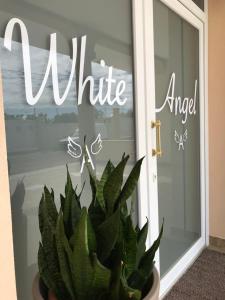 een potplant voor een wit bord op een deur bij Monolocali White Angel Apartments in Porto Cesareo
