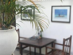a plant in a white pot next to a table at zLife Stone Town in Zanzibar City