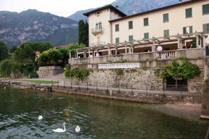 two swans swimming in a river in front of a building at A Dream On The Lake in Lierna