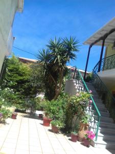 a stairway with potted plants next to a building at Lenia Studios in Kalamitsi
