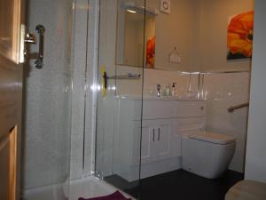a bathroom with a shower and a toilet and a sink at Roe Deer Cottage in Beauly +18 photos