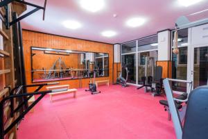Posilňovňa alebo fitness centrum v ubytovaní Zámek Lužec Spa & Wellness Resort