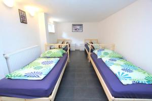 ハノーファーにあるPrivat-Souterrain-Apartmentの紫と青の枕が備わる客室内のベッド3台
