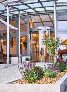 ein Blumenbett vor einem Gebäude mit lila Blumen in der Unterkunft Landhotel Geyer in Kipfenberg