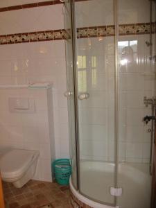 ein Bad mit einer Dusche und einem WC in der Unterkunft Villa Laske in Altaussee
