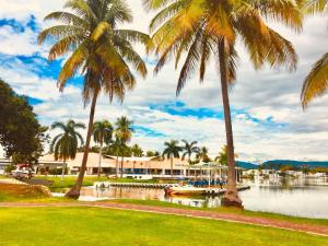 a group of palm trees next to a body of water at HERMOSA CASAQUINTA FAMILIAR CONDOMINIO CAMPESTRE EL PEÑON Piscina Privada Campo de Golf in Girardot