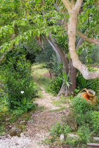 Zahrada ubytování Physis b&b-a casa di Clio