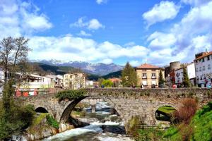 a stone bridge over a river in a city at Hostal Sierra de Gredos in Arenas de San Pedro