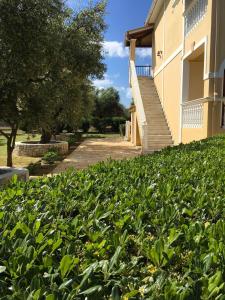 uma cobertura de arbustos em frente a um edifício em Dimaras Apartments em Vasilikos