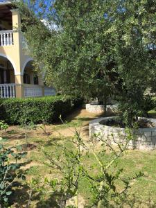 a garden in front of a house with a tree at Dimaras Apartments in Vasilikos