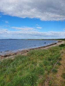 a beach with some grass and water and a cloudy sky at Seton Sands in Port Seton