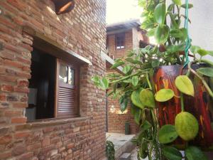 een bakstenen gebouw met een raam en een plant bij Chalés na Hora in Olinda