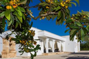 Fotografie z fotogalerie ubytování Paloma B&B v destinaci Porto Cesareo