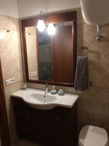 W łazience znajduje się umywalka, toaleta i lustro. w obiekcie Relax sul Lago w mieście Genzano di Roma