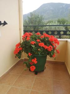 una gran maceta verde con flores rojas en el balcón en Hotel Patelis, en Poulithra