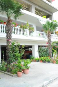 a building with potted plants and a balcony with palm trees at Lemonia in Paralia Katerinis