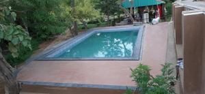 einen Blick über einen Pool im Hof in der Unterkunft Pushkar Vela Resort in Pushkar