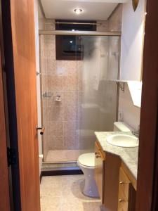 ein Badezimmer mit Dusche, Toilette und Waschbecken in der Unterkunft Casa no coração de gramado in Gramado
