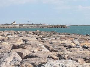 un grande gruppo di rocce sull'acqua di Cmr a Saintes-Maries-de-la-Mer