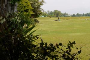 eine Person, die Golf auf einem Grasfeld spielt in der Unterkunft Rico Resort in Chiang Kham