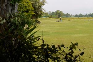 a person playing golf in a grassy field at Rico Resort in Chiang Kham