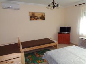 1 dormitorio pequeño con 1 cama y TV en Otthon Apartman en Hajdúszoboszló