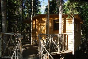 a small wooden cabin with a door in the woods at Sven's Basecamp Hostel in Fairbanks