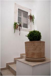 un bâtiment avec une fenêtre et deux plantes dans un panier dans l'établissement Admiral, à Kali