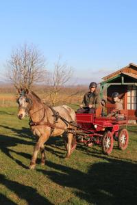 a horse pulling a cart with two people in it at Ferme équestre Les Chevaliers in Penol