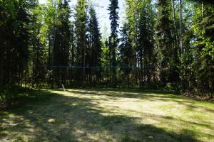 a yard with a net in the middle of a forest at Sven's Basecamp Hostel in Fairbanks