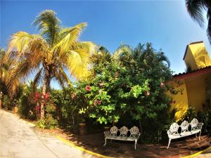Afbeelding uit fotogalerij van Quinta Comala Hotel & Villas in Comala