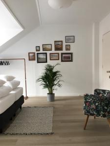 een woonkamer met een bank en een potplant bij Kamers van Goud in Katwijk aan Zee