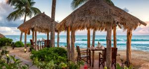 
a beach with palm trees and umbrellas at Galley Bay Resort & Spa - All Inclusive in Saint Johnʼs
