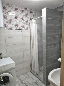 La salle de bains est pourvue d'un rideau de douche et de toilettes. dans l'établissement Apartment LejlaM, à Sarajevo