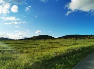 Gallery image of Guesthouse Samolov in Vrhovine +71 photos