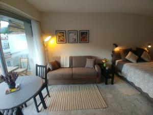 Χώρος καθιστικού στο Studio avec Parking Privé au Cœur de la Ville