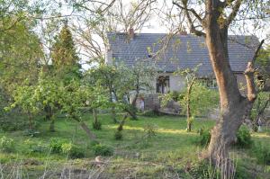 uma casa no meio de um quintal com árvores em Ferienhaus Caselow 23 em Bergholz