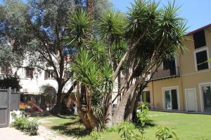 un groupe de palmiers devant un bâtiment dans l'établissement Corte del Merlo, à Palerme