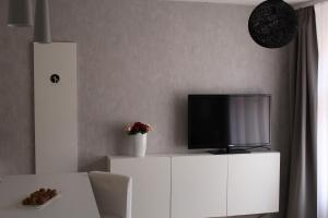 TV a/nebo společenská místnost v ubytování Apartmány Stříbro