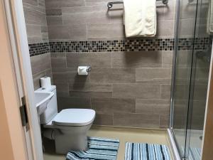 ein Bad mit einem WC und einer Dusche in der Unterkunft Godshill Park Barn in Ventnor