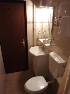 a small bathroom with a toilet and a sink at Filipo Apartments in Poreč +49 photos