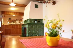 Kuchyňa alebo kuchynka v ubytovaní Schneeberg Apartmany