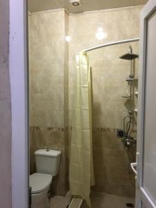 a bathroom with a toilet and a shower at Апартаменты свидом наморе Гонио in Kvariat'i