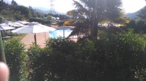 - une piscine avec un parasol et un palmier dans l'établissement Refugios Olmue Santa Teresa, à El Maqui