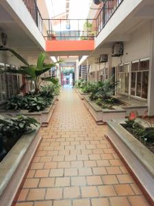 an empty hallway in a building with plants at Hotel Tame Real in Tame