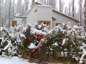 a snow covered bush with red flowers in front of a house at Los Abedules Bungalow in Malargüe