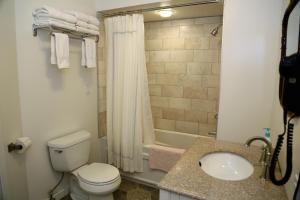 a bathroom with a toilet, sink and shower at EMPIRE INN AND SUITES in Bloomfield