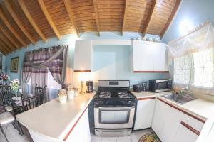 Gallery image of Chin Cozy@ Rhyne Park in Montego Bay